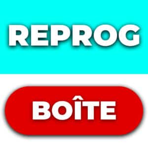 Reprogrammation - Boîte de vitesse - DSG